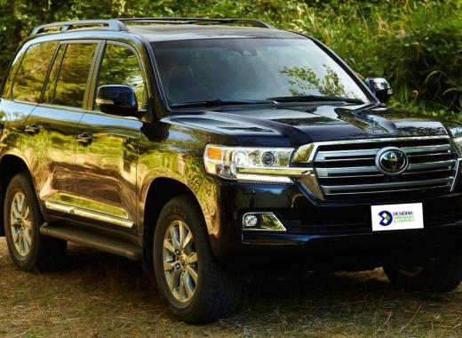 TOYOTA LANDCRUISER 2019